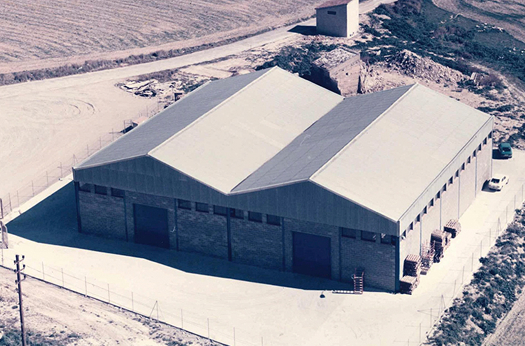 Foundation and first manufacturing plant